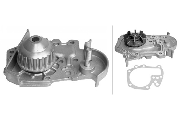 SCHAEFFLER INA Vandpumpe 538002110 for DACIA