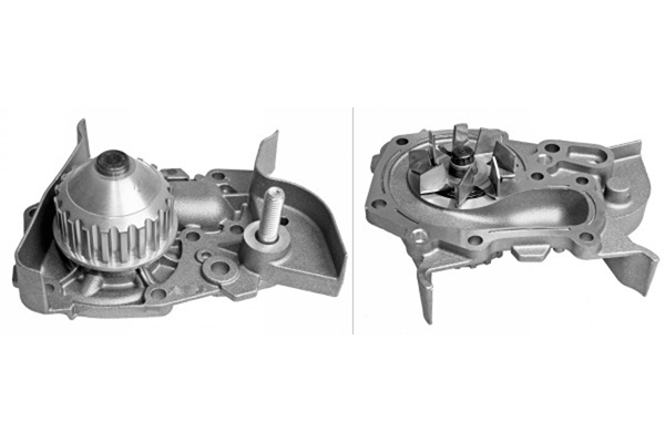 SCHAEFFLER INA Vandpumpe 538002210 for DACIA