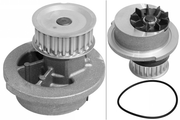 SCHAEFFLER INA Vandpumpe 538002410 for VAUXHALL GENERAL MOTORS