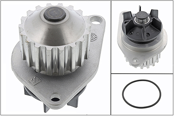 SCHAEFFLER INA Vandpumpe 538005510 for PEUGEOT FIAT