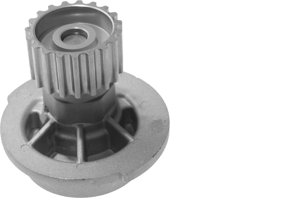 SCHAEFFLER INA Vandpumpe 538006610 for CHEVROLET (SGM) DAEWOO