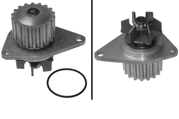 SCHAEFFLER INA Vandpumpe 538006810 for PEUGEOT