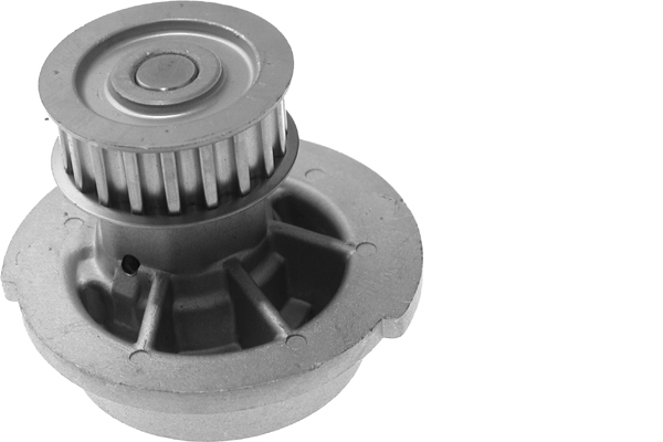 SCHAEFFLER INA Vandpumpe 538007310 for DAEWOO