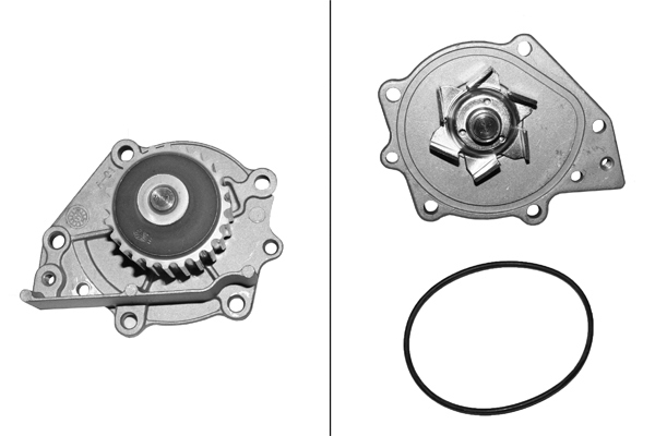 SCHAEFFLER INA Vandpumpe 538009410 for MG LOTUS