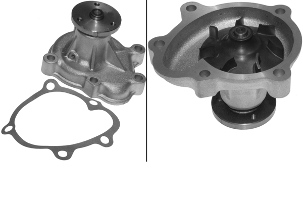 SCHAEFFLER INA Vandpumpe 538009610 for VAUXHALL GENERAL MOTORS