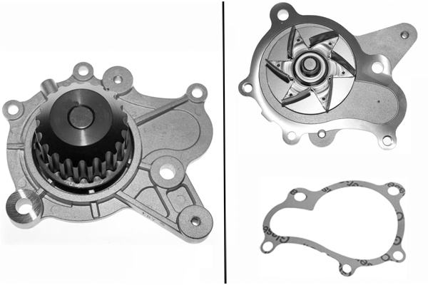 SCHAEFFLER INA Vandpumpe 538010010 for KIA