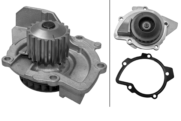 SCHAEFFLER INA Vandpumpe 538010210 for FORD FIAT CITROËN