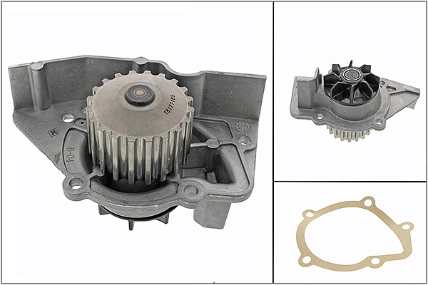 SCHAEFFLER INA Vandpumpe 538010310 for PEUGEOT FIAT