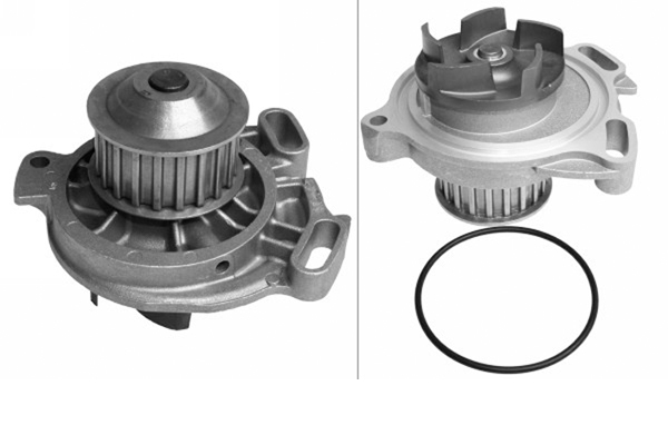 SCHAEFFLER INA Vandpumpe 538010410 for VOLVO VW