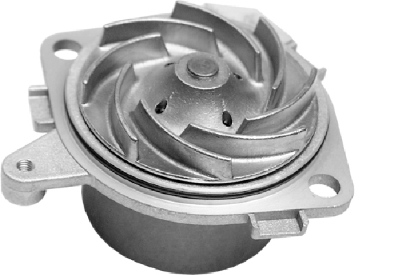 SCHAEFFLER INA Vandpumpe 538010610 for FIAT