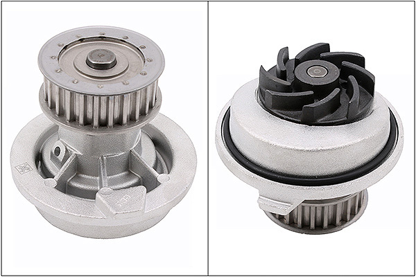 SCHAEFFLER INA Vandpumpe 538010810 for VAUXHALL GENERAL MOTORS