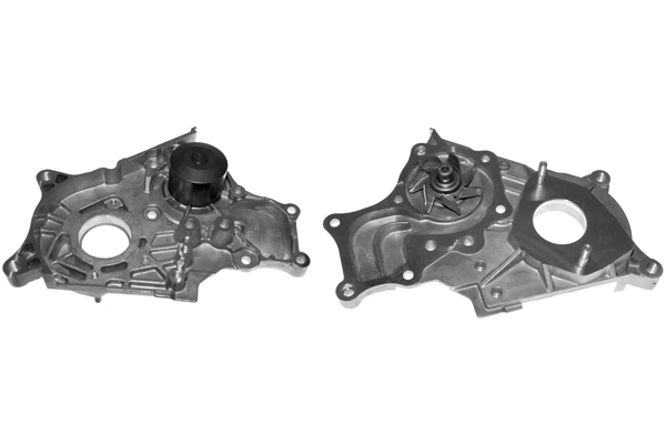 SCHAEFFLER INA Vandpumpe 538012310 for LEXUS