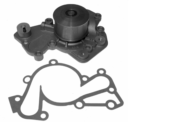 SCHAEFFLER INA Vandpumpe 538012410 for KIA