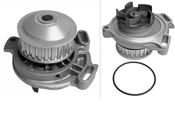 SCHAEFFLER INA Vandpumpe 538012710 for VW