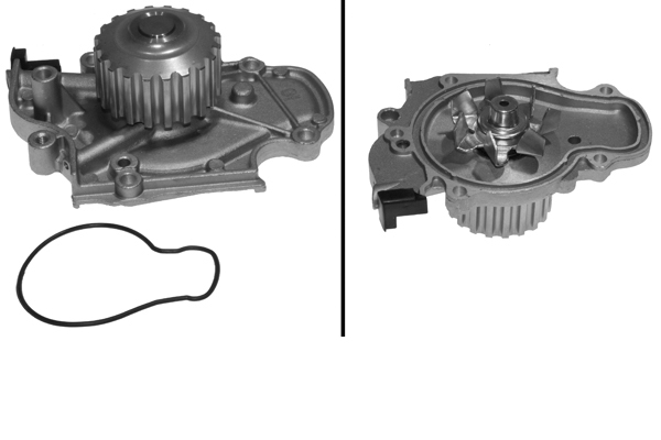 SCHAEFFLER INA Vandpumpe 538012910 for HONDA ROVER