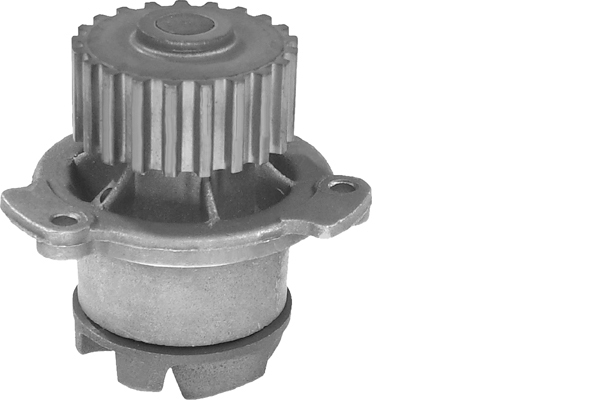SCHAEFFLER INA Vandpumpe 538014610 for LADA
