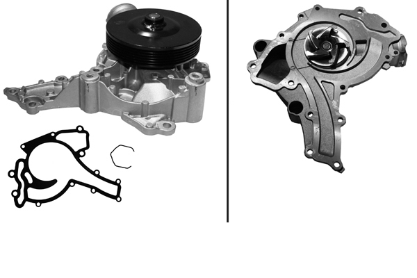 SCHAEFFLER INA Vandpumpe 538023610 for MERCEDES-BENZ