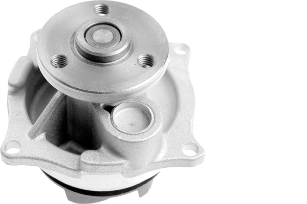 SCHAEFFLER INA Vandpumpe 538025510 for FORD MAZDA