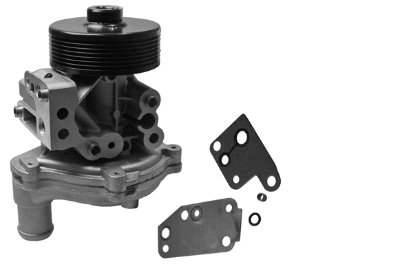 SCHAEFFLER INA Vandpumpe 538026710 for FORD