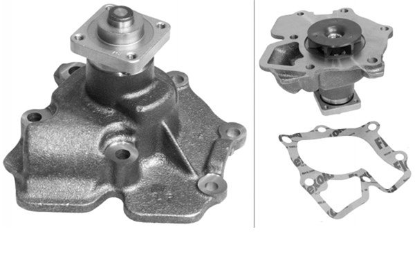 SCHAEFFLER INA Vandpumpe 538028310 for FORD