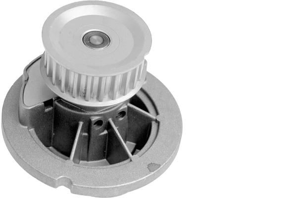 SCHAEFFLER INA Vandpumpe 538029610 for VAUXHALL GENERAL MOTORS