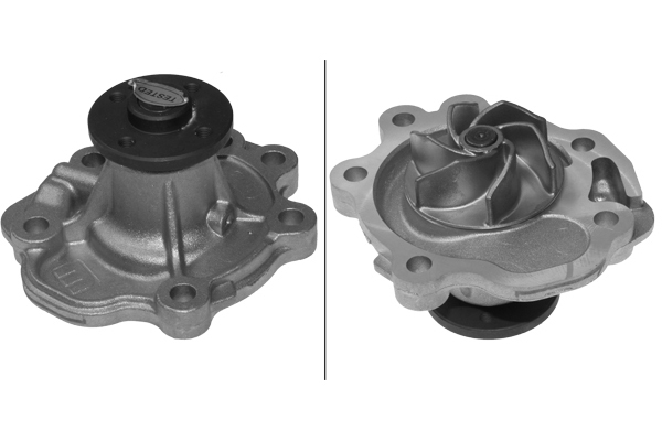 SCHAEFFLER INA Vandpumpe 538030710 for VAUXHALL NISSAN SUZUKI