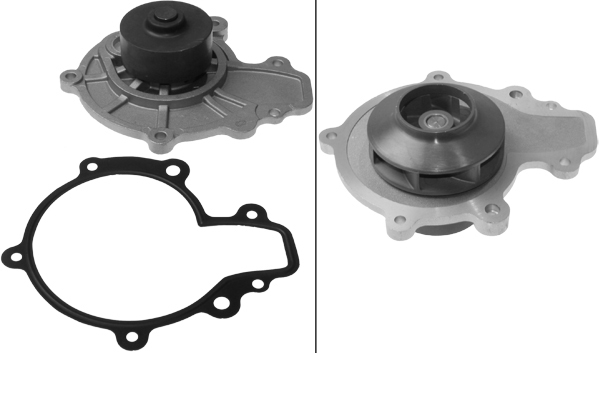 SCHAEFFLER INA Vandpumpe 538031210 for VAUXHALL CHEVROLET
