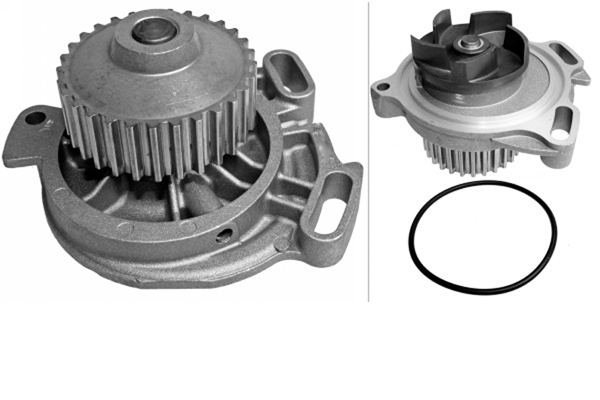 SCHAEFFLER INA Vandpumpe 538033210 for SEAT