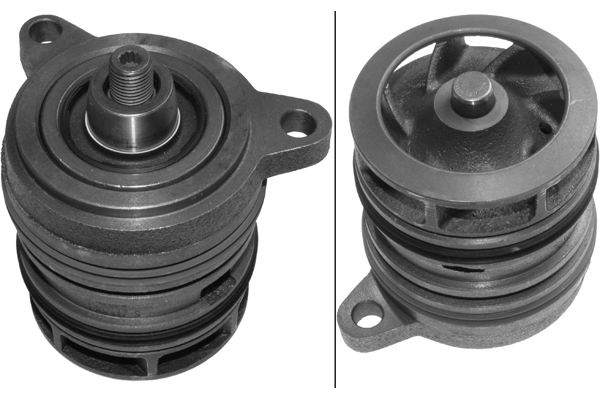 SCHAEFFLER INA Vandpumpe 538033810 for VW