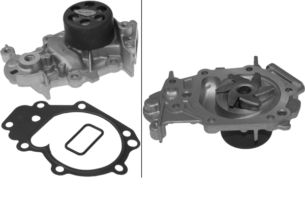 SCHAEFFLER INA Vandpumpe 538038110 for DACIA