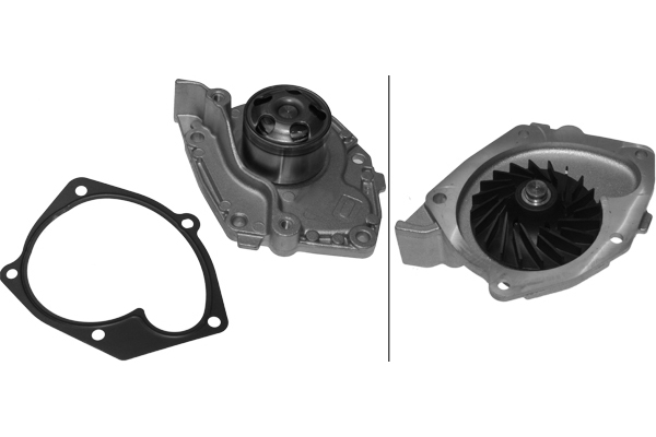 SCHAEFFLER INA Vandpumpe 538038210 for SUZUKI RENAULT