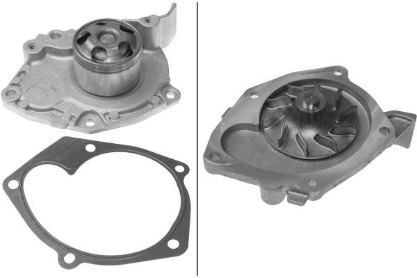 SCHAEFFLER INA Vandpumpe 538039310 for RENAULT SUZUKI NISSAN DACIA