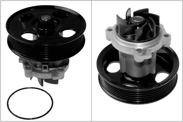 SCHAEFFLER INA Vandpumpe 538044210 for VAUXHALL FORD LANCIA PEUGEOT SUZUKI