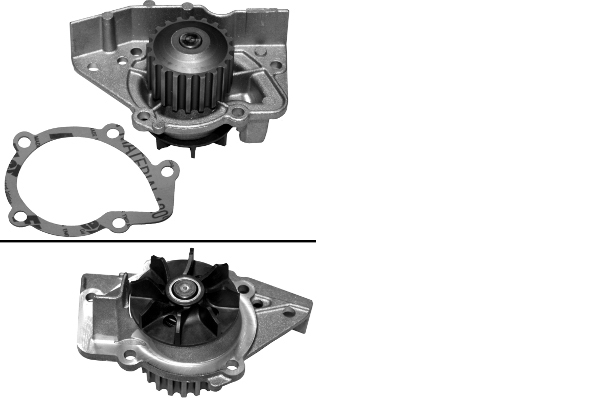 SCHAEFFLER INA Vandpumpe 538046810 for CITROËN PEUGEOT FIAT KIA