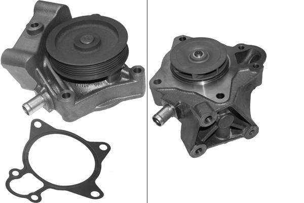 SCHAEFFLER INA Vandpumpe 538047210 for FIAT PEUGEOT
