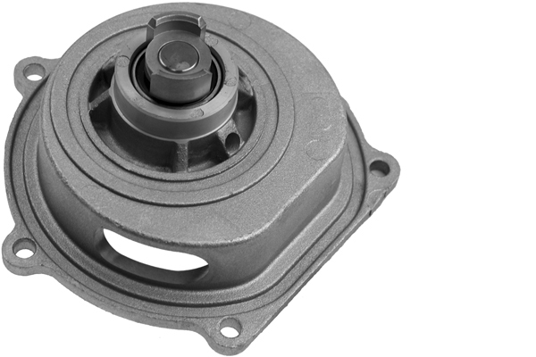 SCHAEFFLER INA Vandpumpe 538048610 for LAND ROVER HONDA ROVER