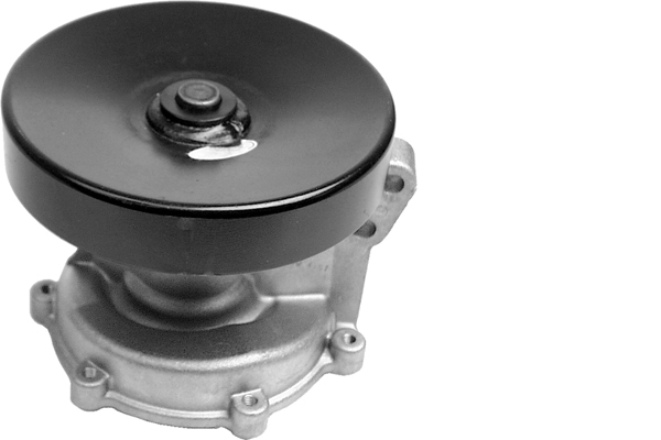 SCHAEFFLER INA Vandpumpe 538049310 for SAAB DACIA