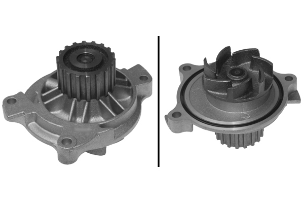 SCHAEFFLER INA Vandpumpe 538049910 for VOLVO