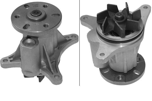 SCHAEFFLER INA Vandpumpe 538050110 for PEUGEOT