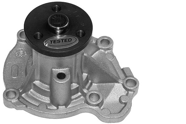 SCHAEFFLER INA Vandpumpe 538050810 for NISSAN