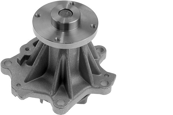 SCHAEFFLER INA Vandpumpe 538052510 for NISSAN