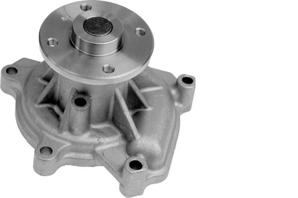 SCHAEFFLER INA Vandpumpe 538055810 for LEXUS