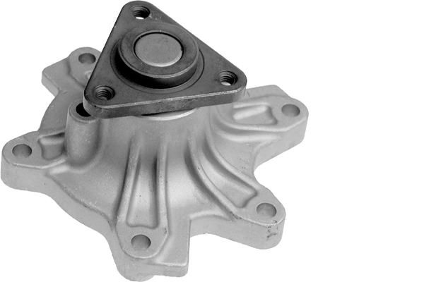 SCHAEFFLER INA Vandpumpe 538055910 for LEXUS
