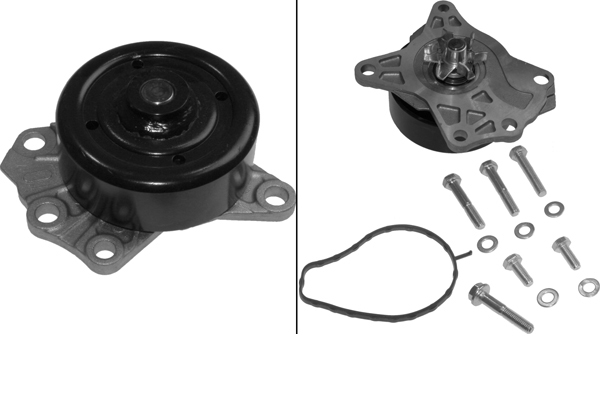 SCHAEFFLER INA Vandpumpe 538056210 for LEXUS DAIHATSU CITROËN PEUGEOT
