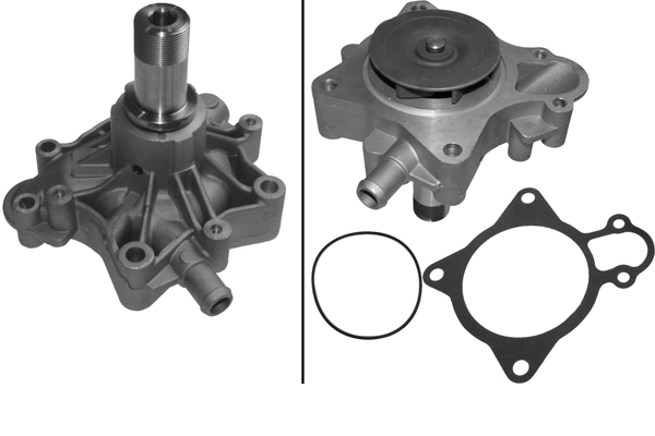 SCHAEFFLER INA Vandpumpe 538057510 for IVECO