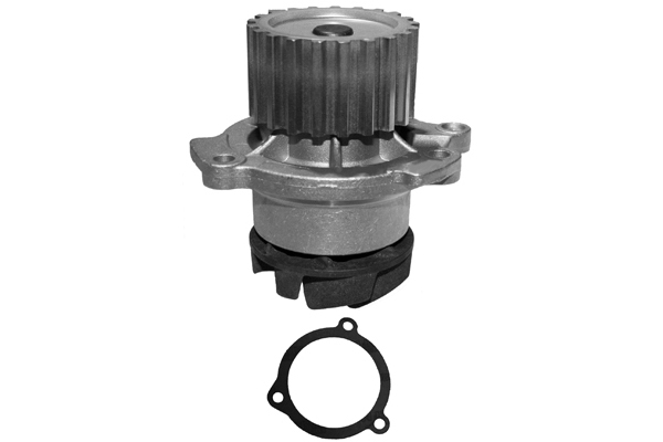SCHAEFFLER INA Vandpumpe 538057710 for LADA