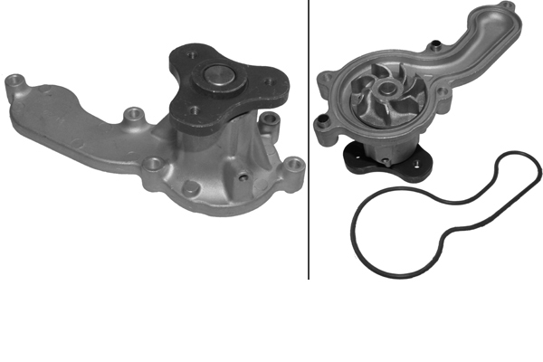 SCHAEFFLER INA Vandpumpe 538061810 for HONDA HONDA (GAC)