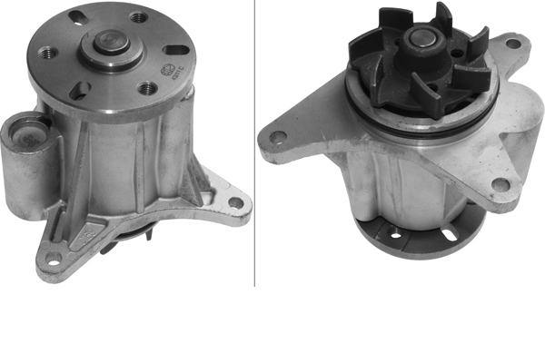 SCHAEFFLER INA Vandpumpe 538064910 for LAND ROVER JAGUAR