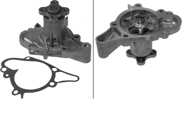 SCHAEFFLER INA Vandpumpe 538065610 for KIA