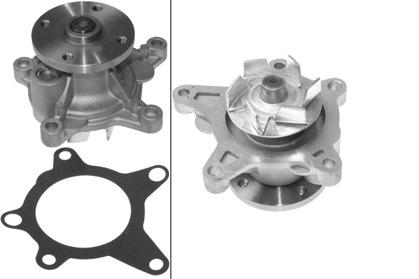SCHAEFFLER INA Vandpumpe 538065910 for KIA